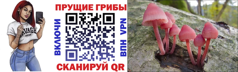 кракен как войти  Раменское  Галлюциногенные грибы Psilocybine cubensis  продажа наркотиков 